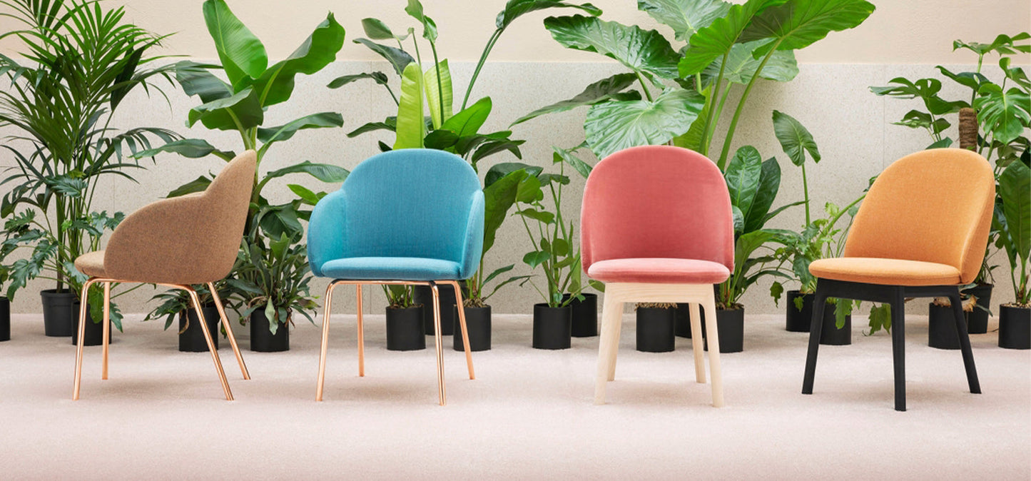 Fauteuil Iola avec base en bois