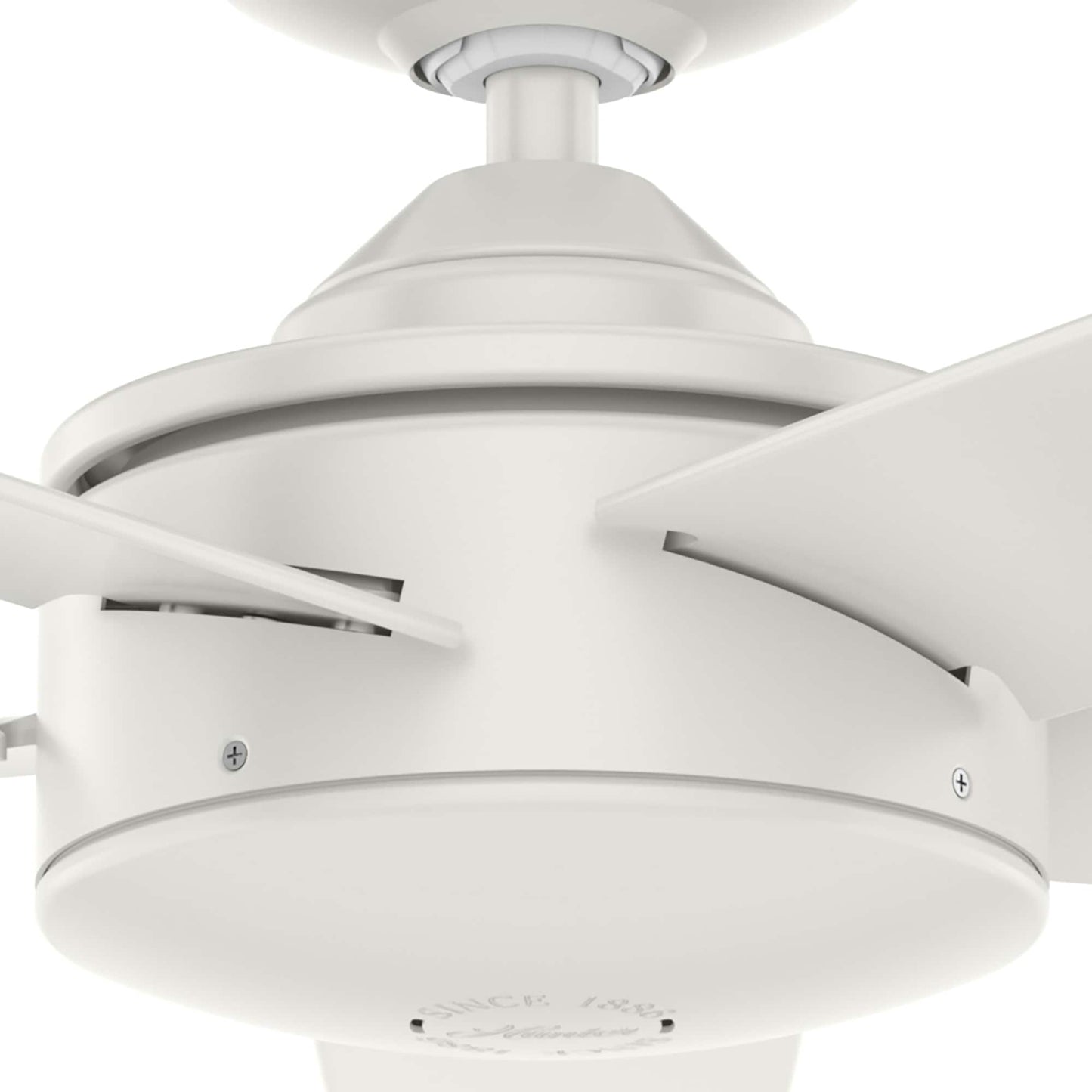 Ventilateur de plafond intérieur/extérieur Hunter 52 Shorebreak WeatherMax avec commande murale - Résistant aux intempéries, au sel et à la corrosion