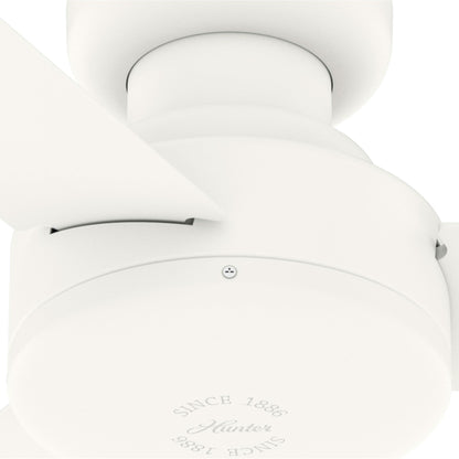 Pergola d'extérieur en acier de 10 pi x 13 pi, auvent de patio avec trous de drainage pour jardin, terrasse de piscine