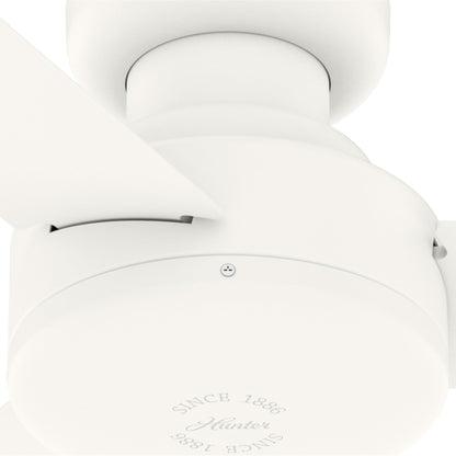 Pergola d'extérieur en acier de 10 pi x 13 pi, auvent de patio avec trous de drainage pour jardin, terrasse de piscine