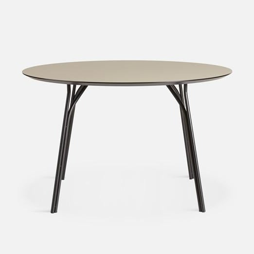 Table à manger en forme d'arbre