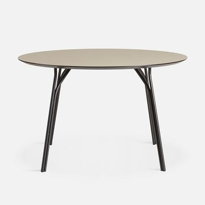 Table à manger en forme d'arbre