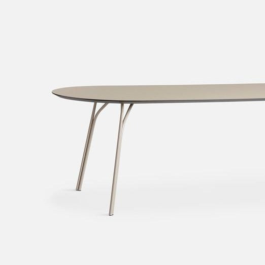 Table à manger en forme d'arbre