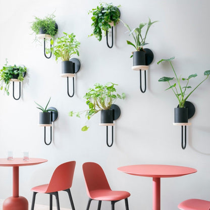 Pot de fleurs Cigales