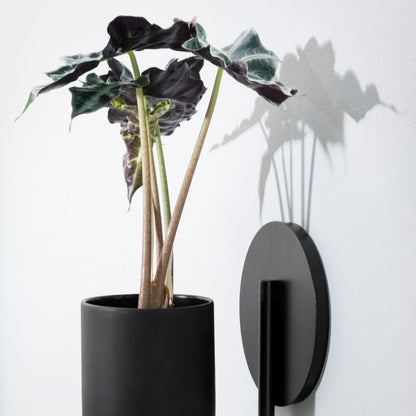 Pot de fleurs Cigales