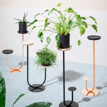 Pot de fleurs Cigales