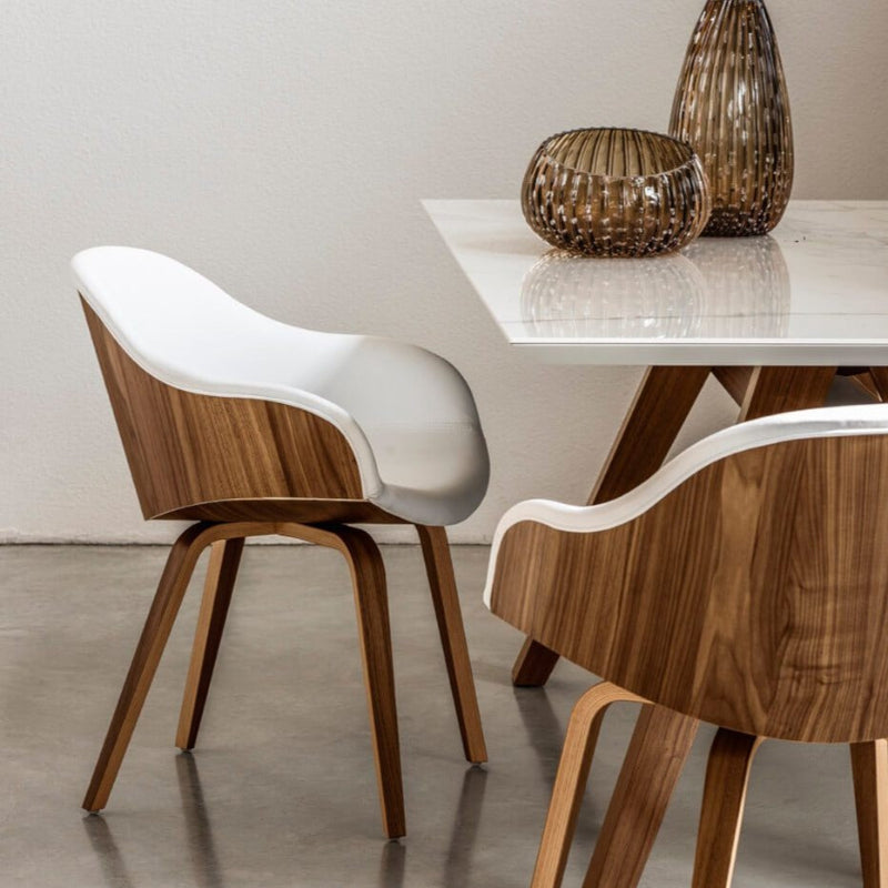 Fauteuil Danny PB L TS