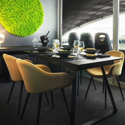 Fauteuil Sonny PB M TS Q avec structure en acier